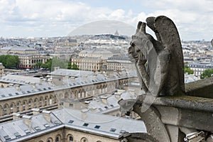 Gargoyle at Notre Dame de Paris