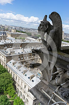 Gargoyle at Notre Dame de Paris