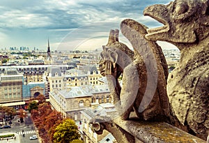 Gargoyle on Notre Dame de Paris Cathedral, France