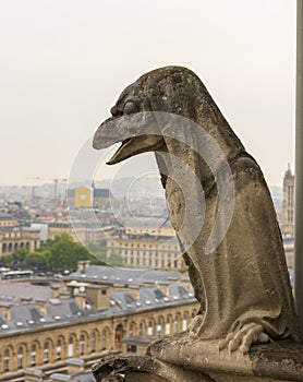 Gargoyle on Notre Dame de Paris Cathedral of Paris