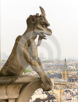 Gargoyle on Notre Dame de Paris Cathedral of Paris