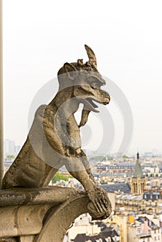 Gargoyle on Notre Dame de Paris Cathedral of Paris