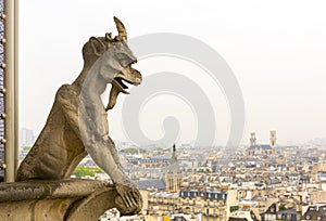 Gargoyle on Notre Dame de Paris Cathedral of Paris