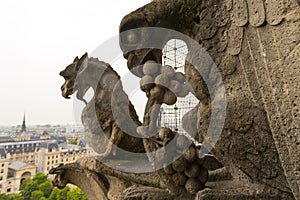 Gargoyle on Notre Dame de Paris Cathedral of Paris