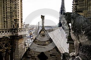 Gargoyle Notre Dame de paris Church cathedral detail, Photo image a Beautiful panoramic view of Paris Metropolitan City