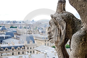 Gargoyle at Notre Dame