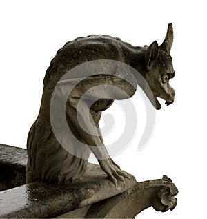 Gargoyle of Notre Dame, Paris