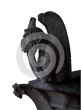 Gargoyle of Notre Dame, Paris