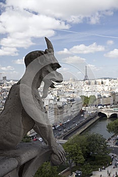 Gargoyle at Notre Dame in Paris