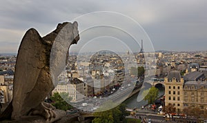 Gargoyle, Notre Dame, Paris, France