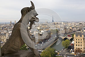 Gargoyle, Notre Dame, Paris, France