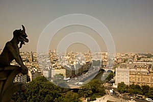 Gargoyle over Paris with Eiffel Tower in the backg