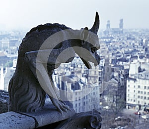 Gargoyle overlooking Paris