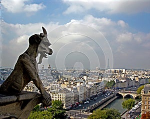 Gargoyle Overlooking Paris photo