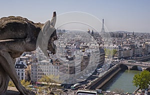 Gargoyle Overlooking Paris