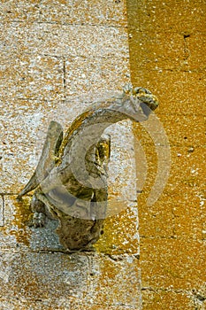 A gargoyle of the remarkable church in Brezolles, Eure et Loire, France.