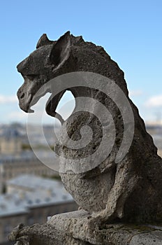 Gargoyle on the roof of Notre-Dame