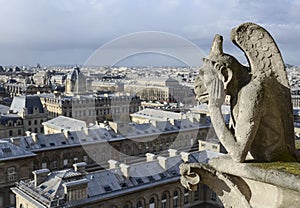 Gargoyle on the roof of Notre-Dame overlooking Paris