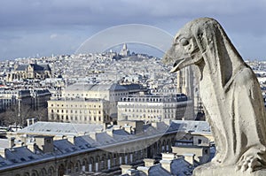 Gargoyle on the roof of Notre-Dame, Paris cathedral