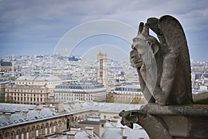 Gargoyle on the roof of Notre Dame in Paris, France