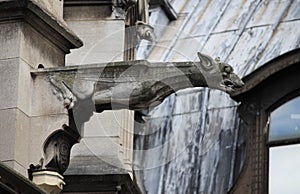 Gargoyle in Saint Germain l'Auxerrois church