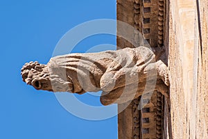 Gargoyle sculpture of the cathedral of Barcelona