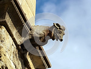 Gargoyle sculture on medieval cathedral. Mirepoix.