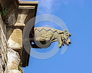 Gargoyle sculture on medieval cathedral. Mirepoix.