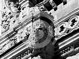 Gargoyle in the shape of a lion in the parador de san marcos photo