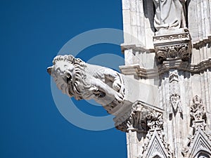 Gargoyle at Siena Cathedral