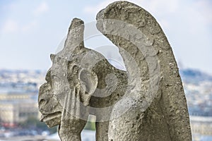 Gargoyle statue in Notre-dame