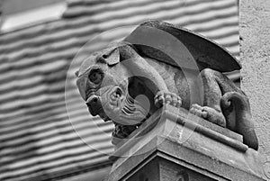 Gargoyle