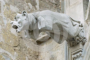 Gargoyle at the wall of the Basilique Saint-Nazaire-et-Saint-Celse in Carcassonne, France.