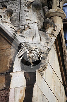 Gargoyle in Westminster Palace