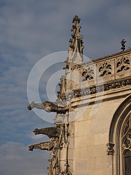 Gargoyles of Amboise