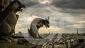 Gargoyles on the Cathedral of Notre Dame de Paris overlooking Pa photo