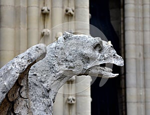 Gargoyles or Chimeras at the Gallery of Chimere. Notre-Dame Cathedral. Paris, France.