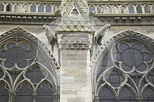 Gargoyles on the exterior of the Notre Dame Cathedral, Paris, France