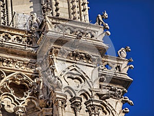 Gargoyles Facade Notre Dame Cathedral Paris France