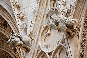 Gargoyles on the facade of the St. Jean cathedral, Lyon, France