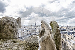 Gargoyles looking to Eiffel tower