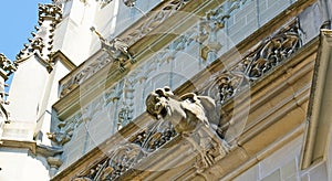 The gargoyles of Minster Cathedral