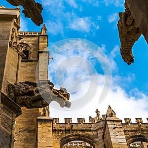 Gargoyles of the Narbonne Cathedral in Occitania, France