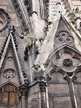 Gargoyles on Notre Dame Cathedral, Paris, France