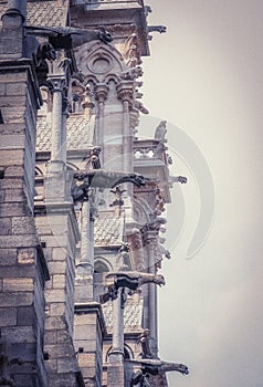 The Gargoyles of Notre Dame Cathedral, Paris, France