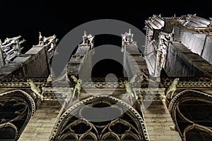 Gargoyles of the Notre Dame cathedral, Paris, France. Tourists landmark. Night view