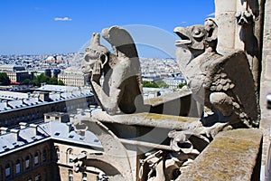 Gargoyles of Notre Dame de Paris