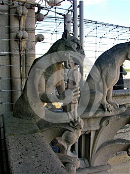 The gargoyles in Notre Dame, Paris city, France. History, time and architecture, fascination and magic