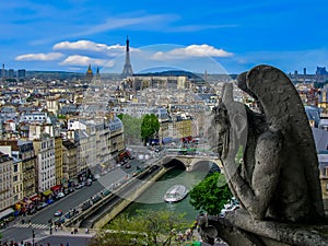 The Gargoyles of Notre Dame - Paris, France photo