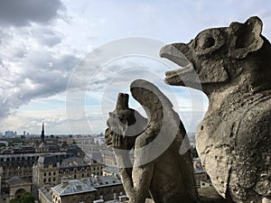 Gargoyles of the notredame